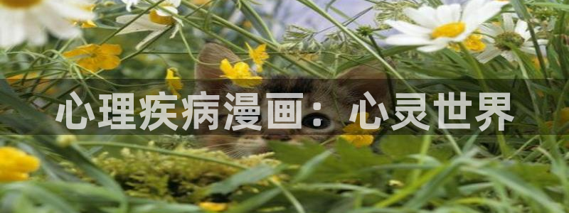 汗汗漫画的：心理疾病漫画：心灵世界