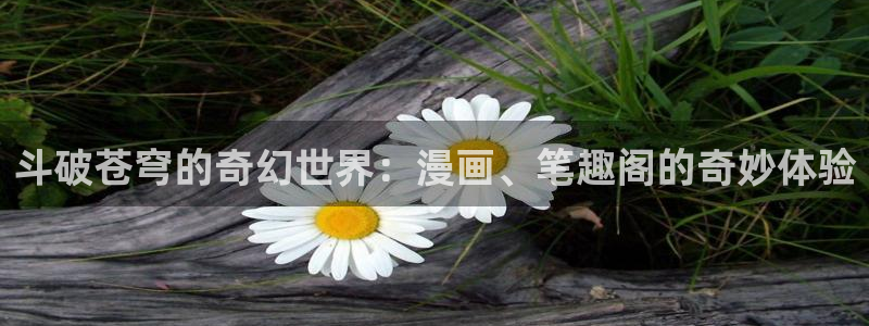 汗汗漫画首页面：斗破苍穹的奇幻世界：漫画、笔趣阁的奇妙体验
