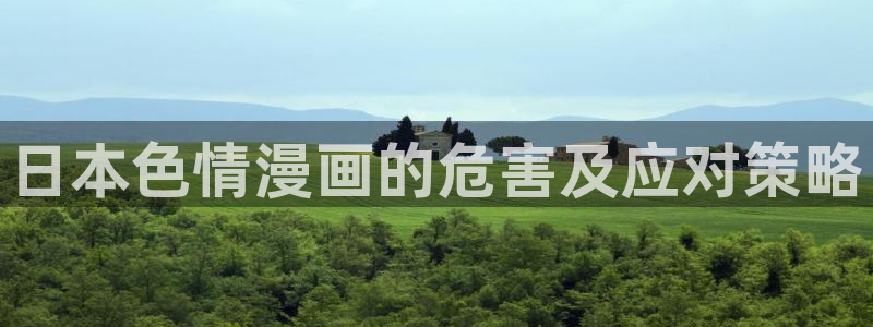 汗汗漫画免费漫画弹窗入口：日本色情漫画的危害及应对策略