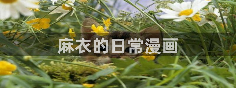 汗汗漫画免费：麻衣的日常漫画