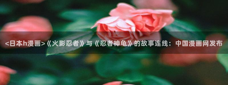 汗汗漫画h：<日本h漫画>《火影忍者》与《忍者神龟》的故事连线：中国漫画网发布