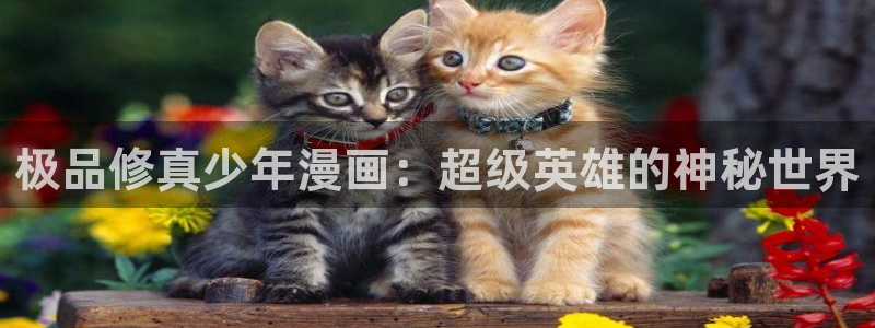 汗汗漫画直接看：极品修真少年漫画：超级英雄的神秘世界