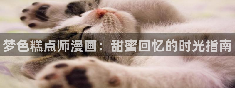 汗汗漫画樱花：梦色糕点师漫画：甜蜜回忆的时光指南