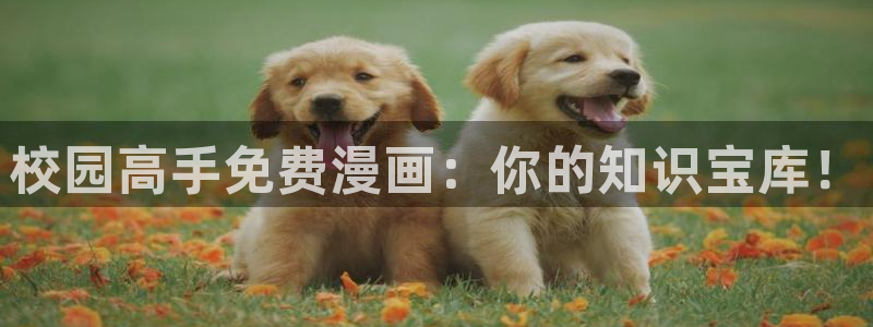 汗汗漫画在线观看：校园高手免费漫画：你的知识宝库！