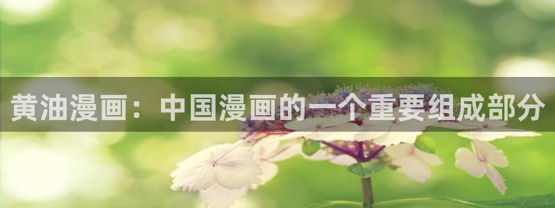 羞羞漫画一一汗汗漫画：黄油漫画：中国漫画的一个重要组成部分