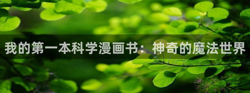 汗汗漫画的：我的第一本科学漫画书：神奇的魔法世界